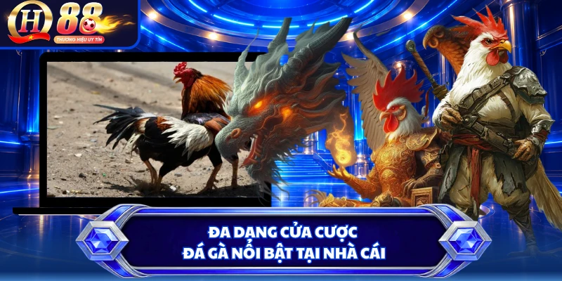 Đa dạng cửa cược đá gà nổi bật tại nhà cái